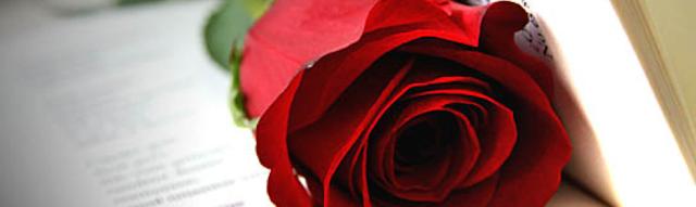 Sant Jordi!